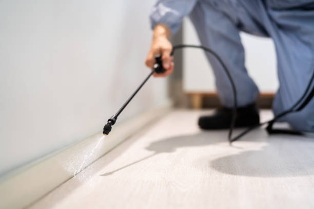 Bed Bug Pre-Treatment Preparation Assessment in Poteau