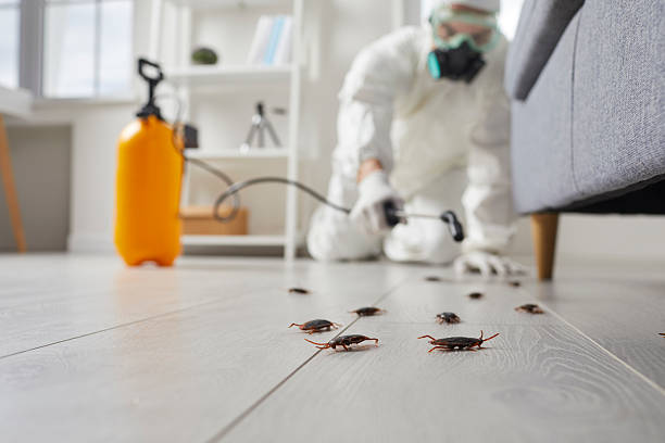 Post-Treatment Bed Bug Interceptor Monitoring in Poteau